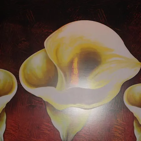 Aurora Garden 3* ローマ